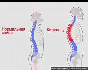 массажистка Ольга Владимировна 